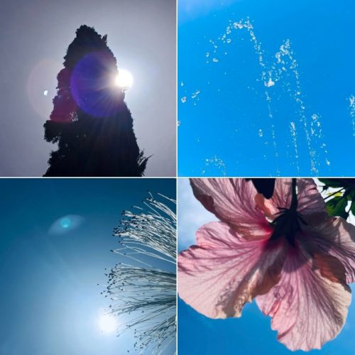 צילום: רענן טל