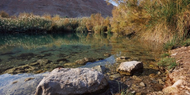 שמורת טבע עינות צוקים צילום מיכאל פרוסקלוב