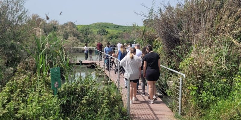 שמורת טבע עין אפק צילום תמר עבדת