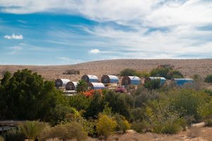 באדיבות חוות בודדים כרמי עבדת