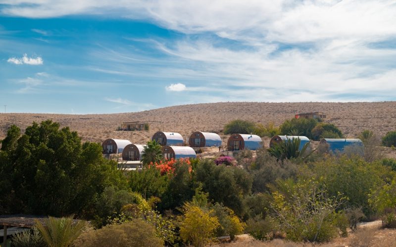 באדיבות חוות בודדים כרמי עבדת